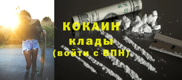 мет Няндома