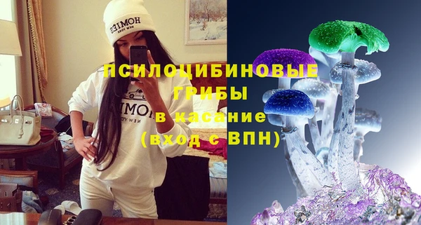 мет Няндома