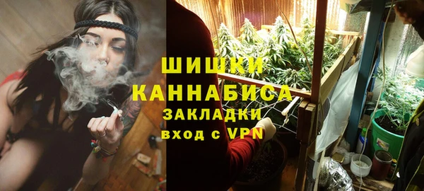 мет Няндома