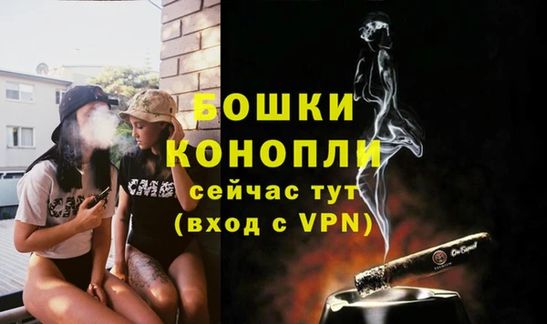 мет Няндома