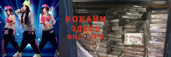 мет Няндома