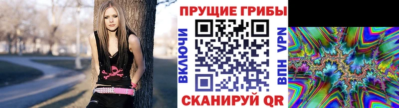 OMG ONION  Артёмовский  Псилоцибиновые грибы Cubensis 