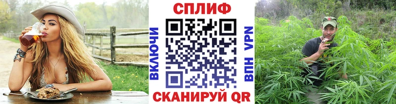 Бошки марихуана сатива  купить наркоту  Артёмовский 